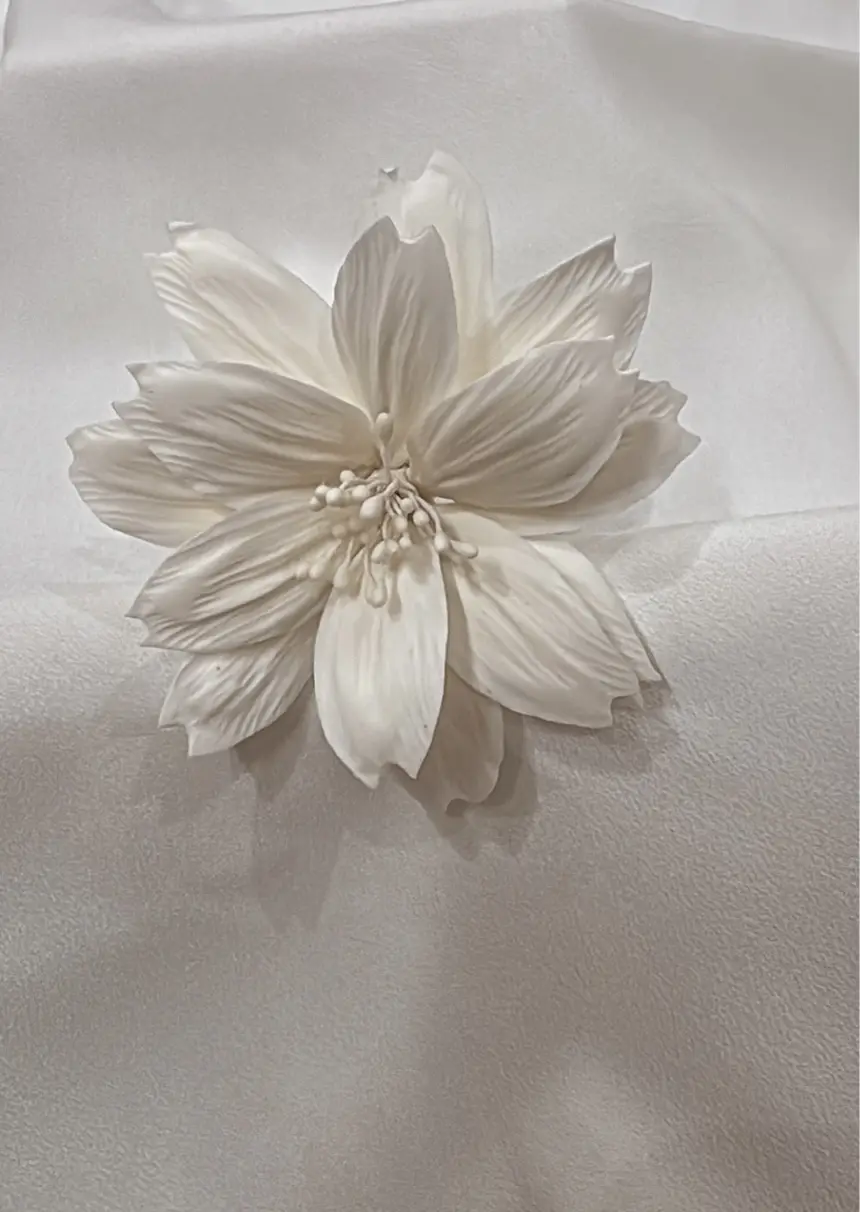 Flor Dama da Noite